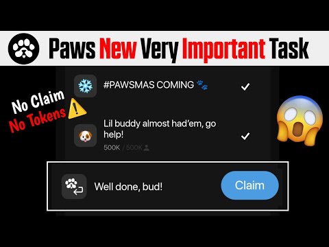 Paws New Important Task | Paws New Mystery Task Complete | Paws New Christmas Task | Paws New Task