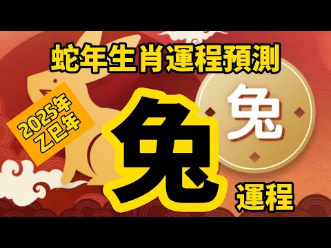 2025年 乙巳年 生肖運勢 蛇年十二生肖運程 —【肖兔】 | 概括運程 | 四季不同時段出生 屬兔運程 | 生肖運程 分析 | 愛情、事業、正財、橫財、健康預測| 開運攻略 | 生肖運程 2025