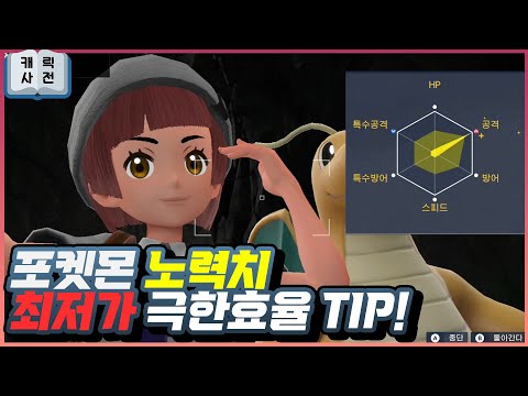 포켓몬 노력치 이제 쉽게 올리자! 1,500% 효율 보장, 스쿨워즈 이제 그만~! [포켓몬 스칼렛 바이올렛]