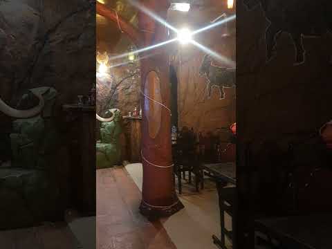 Man Vs Wild hotel/ Dinner at man Vs wild hotel /Hotel ambiance #dinner