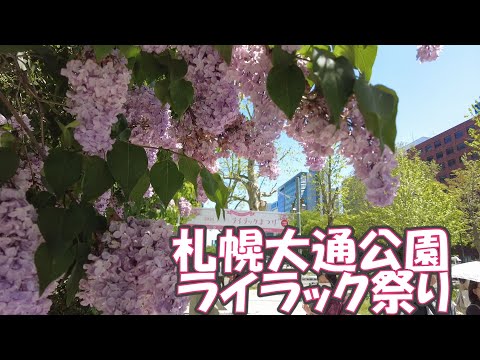 札幌大通公園ライラック祭り2024/5/18