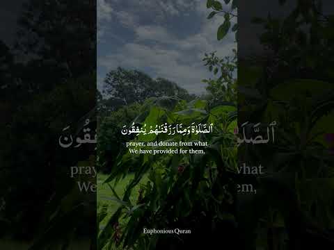 The Most Pleasing and Beautiful Quran Recitation | Crying 😭 Surah Al Baqarah