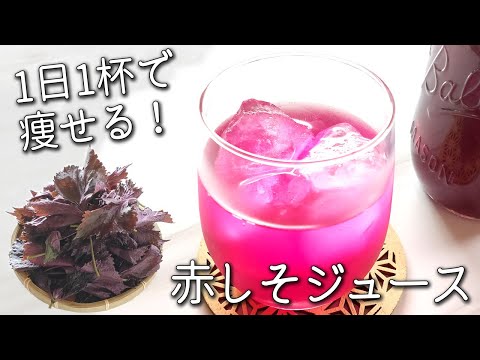 【赤紫蘇 酢】 簡単！ リンゴ酢 で 驚きの健康効果！ 失敗しない！ ダイエット や 夏バテ予防にも◎ 残った 赤紫蘇 のアレンジレシピも紹介！ 赤 紫蘇 ジュース 作り方