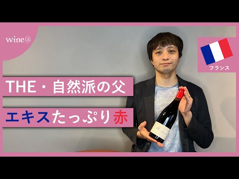 【自然派の父が贈る赤】マルセル・ラピエール / モルゴン トラディション（フランス）