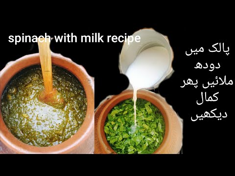 #milky spinach recipe|palak r dodh ki asan recipe|palak recipe|milk with spinach recipe