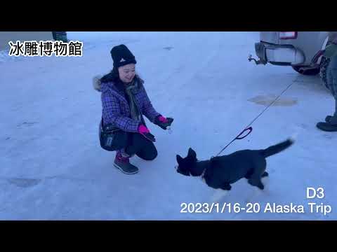 Alaska Trip ~Part 1 阿拉斯加之旅2023/1/16～20 #alaska #阿拉斯加 #北極 #fairbanks #travel #極光 #aurora