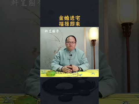 金蟾进宅，福禄即来 #轩呈国学