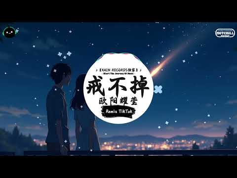 戒不掉 (抖音DJ版) - 欧阳耀莹『差一点方可亲吻我 喜欢这触摸俘虏我，而你怯懦 当天的街巷中碰过。』♪ || 抖音最热门的背景音乐 | 抖音 Douyin | TikTok ♪