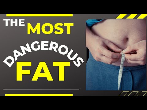 Belly Fat Health Dangers