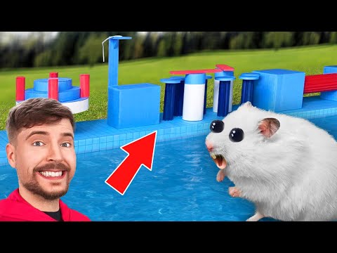 Hamster Escapes the MrBeast Deadliest Obstacle Course!