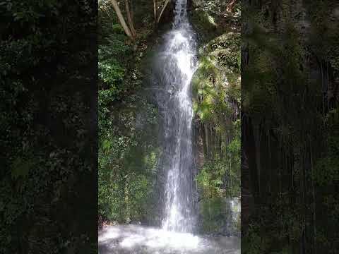 出雲の北島國造館「亀の尾の滝」