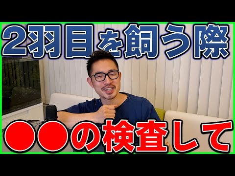 【鳥】2羽目をお迎えする際に気をつけることを教えて下さい。＃371