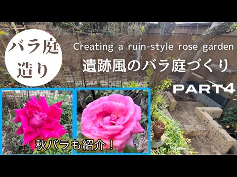 遺跡風のバラ庭づくりと秋バラ紹介！今回もバラ庭を素敵につくっていきます！【バラ庭】