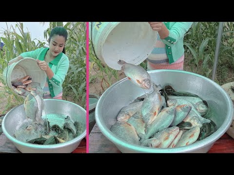 Delicious fried fish recipe - Cooking with Sreypov