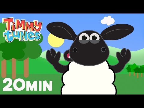 Timmy Tunes Every Episode ⏱️ Compilation 🎵 Songs for Kids