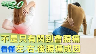 不是只有閃到會腰痛 看懂左、右、後腰痛成因 健康2.0