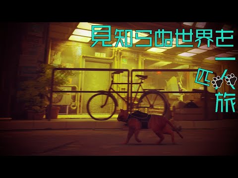 【Stray】サイバーパンクの世界を猫になって歩き回るゲーム【#ライブハック 】