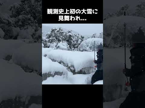 自然災害も多いし農家は大変？ #shorts