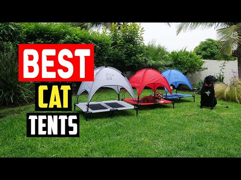 ✅Best Cat Tents in 2023