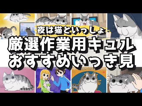 【厳選まとめ:キュルガ】夜は猫といっしょ〖作業のおともに〗