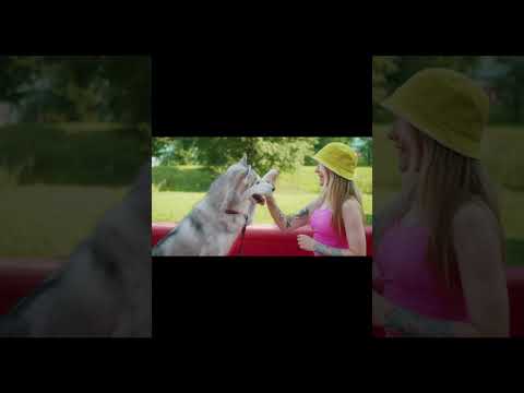 Dog playing with girl #puppy #shorts #ytshorts #dog