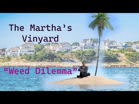 Martha’s Vineyard Has a Weed Dilemma