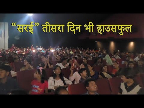 सरई हाउसफुल कोरबा | निहारिका | चित्रा