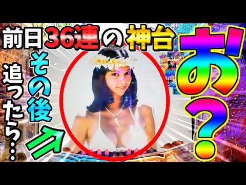 【パチンコ】PA大海物語5 Withアグネス・ラム / 前日36連という神台のその後を追ってみた結果、予想通りの結末になんだか嬉しくなってしまう男【どさパチ 682ページ目】