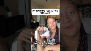 Natural flea & tick repellent #dogcare #americanbully #shortvideo #shortsvideo