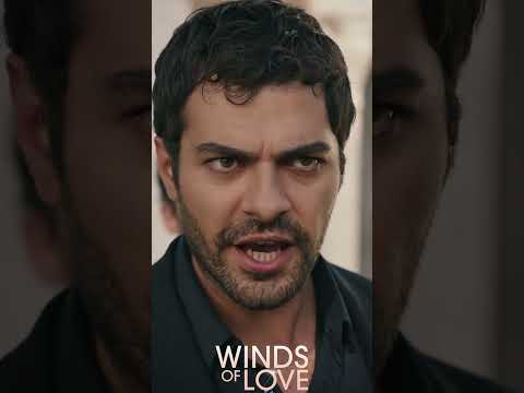 Senden tek bir isteğim var... | Winds of Love Episode 165 Promo #shorts #windsoflove