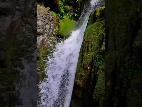 Waterfall near the jungle camping #forestcamping #waterfall #camping  #solocamping #campinglife