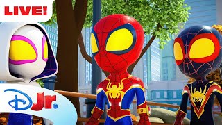 🔴 LIVE! NEW SPIDEY FULL EPISODES & SHORTS | Marvel's Spidey and his Amazing Friends | @disneyjr