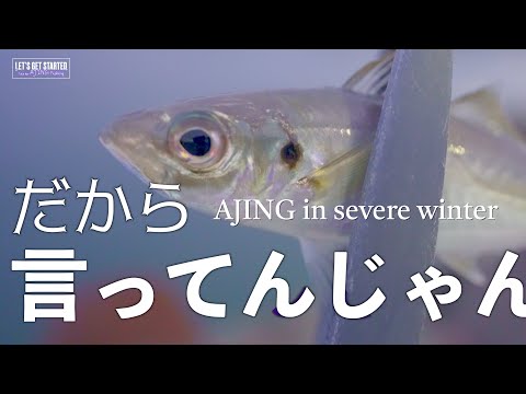 🔰アジング【遠投を始めるってよ。】Vlog.123 Take her AJING Fishing