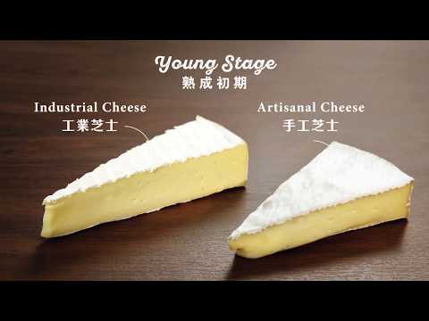 【手工芝士 vs. 工業芝士 Artisanal Cheese vs. Industrial Cheese】