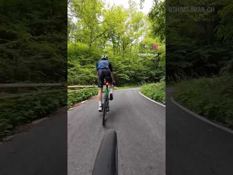 綺麗な道でトレーニング #ロードバイク #cycling #japan #fukushima