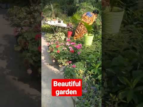 beautiful nature//beautiful garden #beauty #shortsfeed #naturelovers #viral #ytbshorts