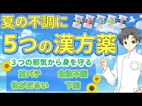 【夏の漢方】暑さと湿気に負けない！夏バテや不調を撃退する５つの漢方薬！【薬剤師が解説】