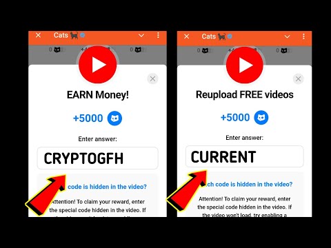 EARN Money! Cats Code | Reupload FREE videos Cats Code | cats all video code today