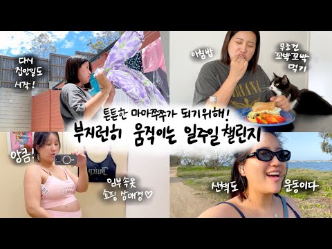 [유료광고포함] 🏃‍♀️ 벌써 막달! 튼튼맘이 되기 위해 부지런히 먹고 움직이는 일주일 챌린지