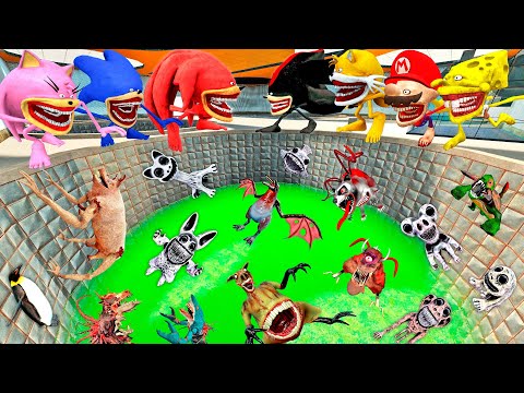 🔥 ALL SONIC TAPES FAMILY AMY TAILS KNUCKLES SHADOW ZOOCHOSIS ZOONOMALY SPARTAN KICKING in Gmod !