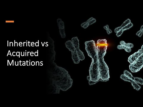 Inherited vs Acquired Mutations