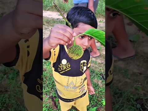 Khet Mein Kya Mila chaunkane wali khoj😲#KhetKiKhoj#FarmMystery#DesiVlog#VillageLife#shorts #trending