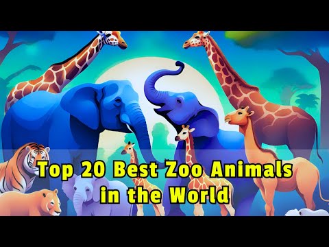 🐾 Unveiling the Top 20 Zoo Stars: The World’s Most Beloved Animals 🌍