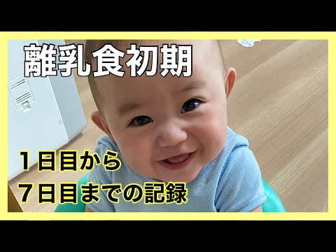 【離乳食初期】離乳食始めました！１日目～７日目までの記録【生後５か月】