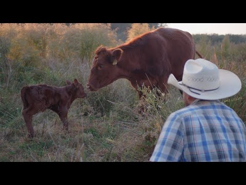 What Makes Farm Life so Special, S1:E2