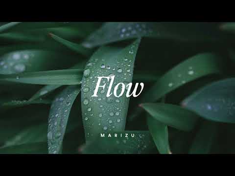 Marizu - Flow [Official AUDIO]