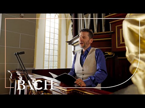 Bach - Warum betrübst du dich BWV 516 - Johannsen | Netherlands Bach Society