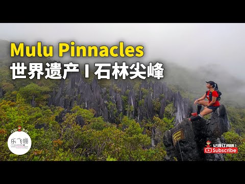 Mulu Pinnacles @ Gunung Api 石林尖峰 | 剑峰 | 火焰山 | 穆鲁山国家公园