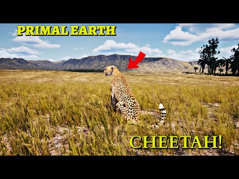 Primal Earth | Cheetah Gameplay