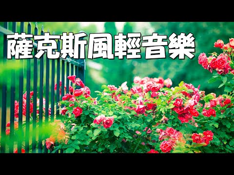 【薩克斯風 睡眠】🎷30首 薩克斯風 輕音樂 放鬆解壓 🌺 夜晚最適合聽的 轻音乐 放松🎵 累了煩了就聽聽 醉人醉心！ 無廣告音樂  Relaxing Chinese Saxaphone Music